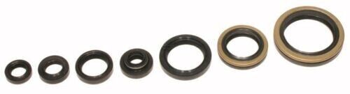 Suzuki RM 250 ( 1996 1997 1998 1999 2000 2001 2002 )Full Engine Oil Seal Set Kit