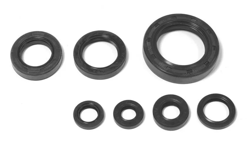 HONDA CR 250 R ( 1983 Only ) Engine Complete Full Gasket Set & Oil Seal Kit