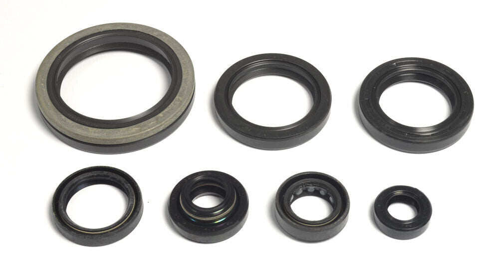 Suzuki RMX 250 S T V W X (1995-1999) Engine Complete Oil Seal Kit